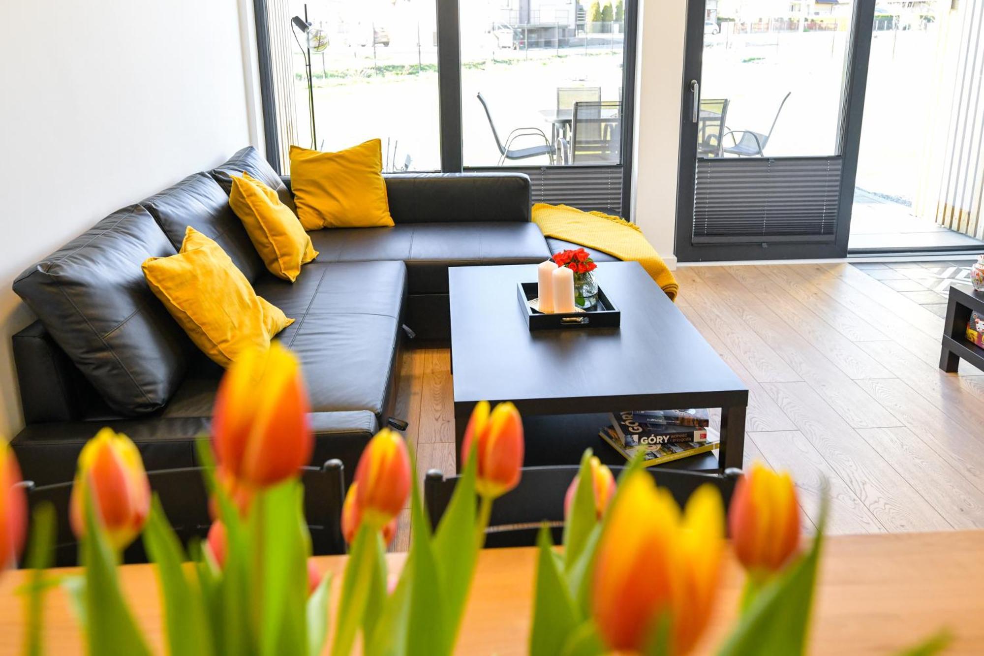 Black Villa Zator Extérieur photo
